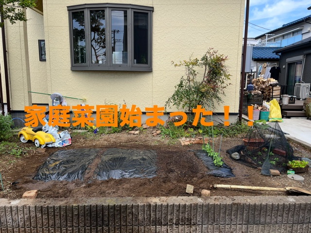 FCC社員ブログ 2025年5月15日 担当者:いっとく 家庭菜園2